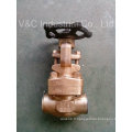 API Wcb Flanged Gate Valve